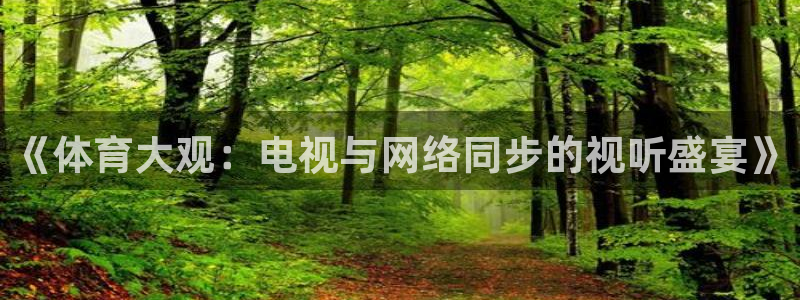 《体育大观：电视与网络同步的视听盛宴》