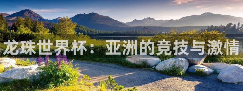 龙珠世界杯：亚洲的竞技与激情