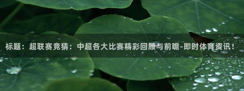 标题：超联赛竞猜：中超各大比赛精彩回顾与前瞻-即时体育资讯！