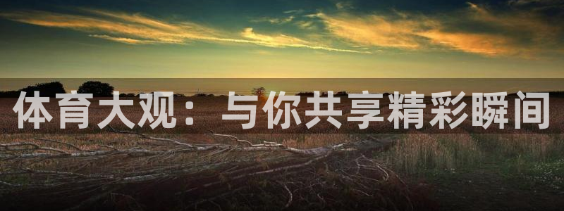 体育大观：与你共享精彩瞬间